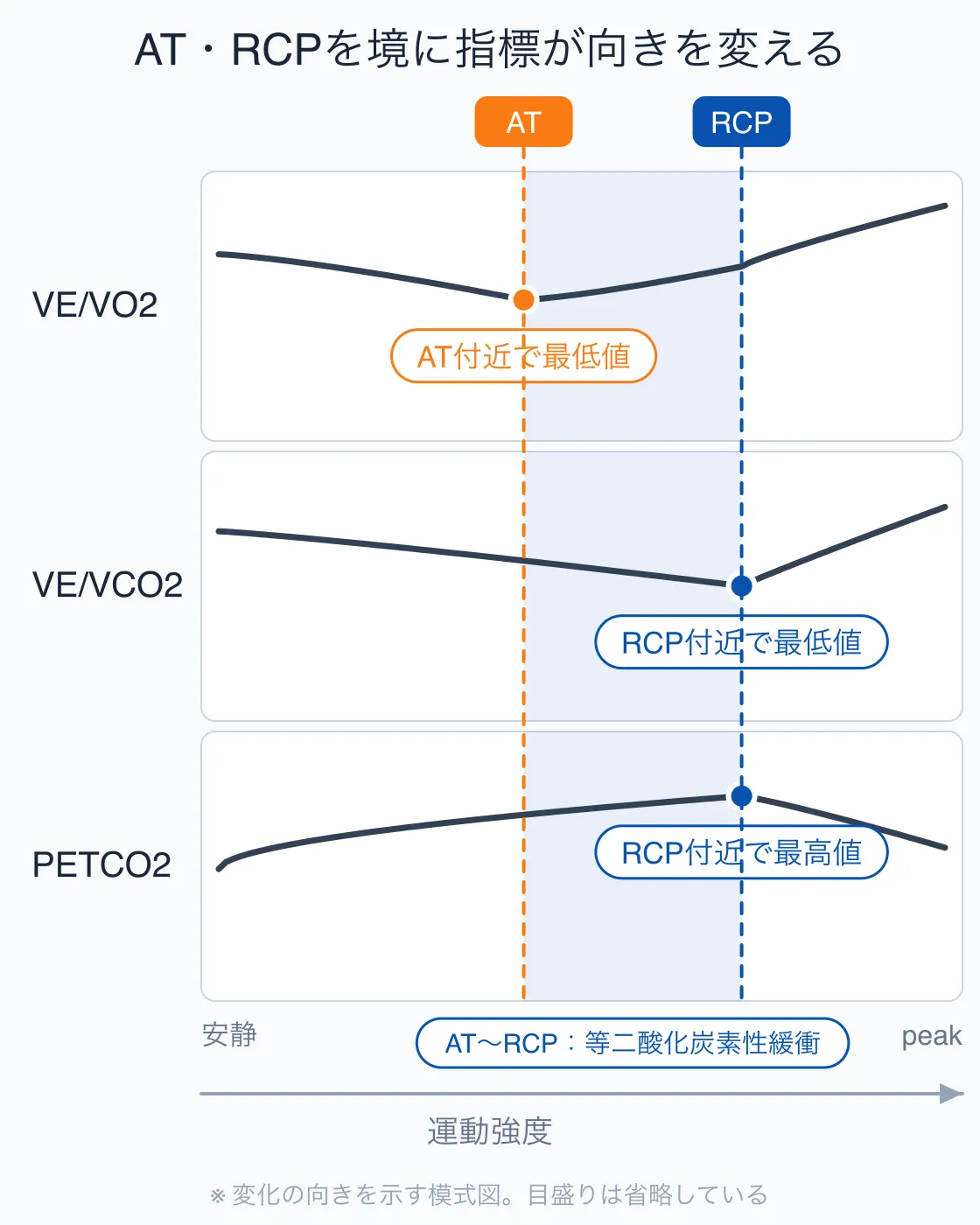 運動強度に対するVE/VO2・VE/VCO2・PETCO2の変化を3段に並べ、AT付近でVE/VO2が最低値、RCP付近でVE/VCO2が最低値・PETCO2が最高値になることを示した模式図