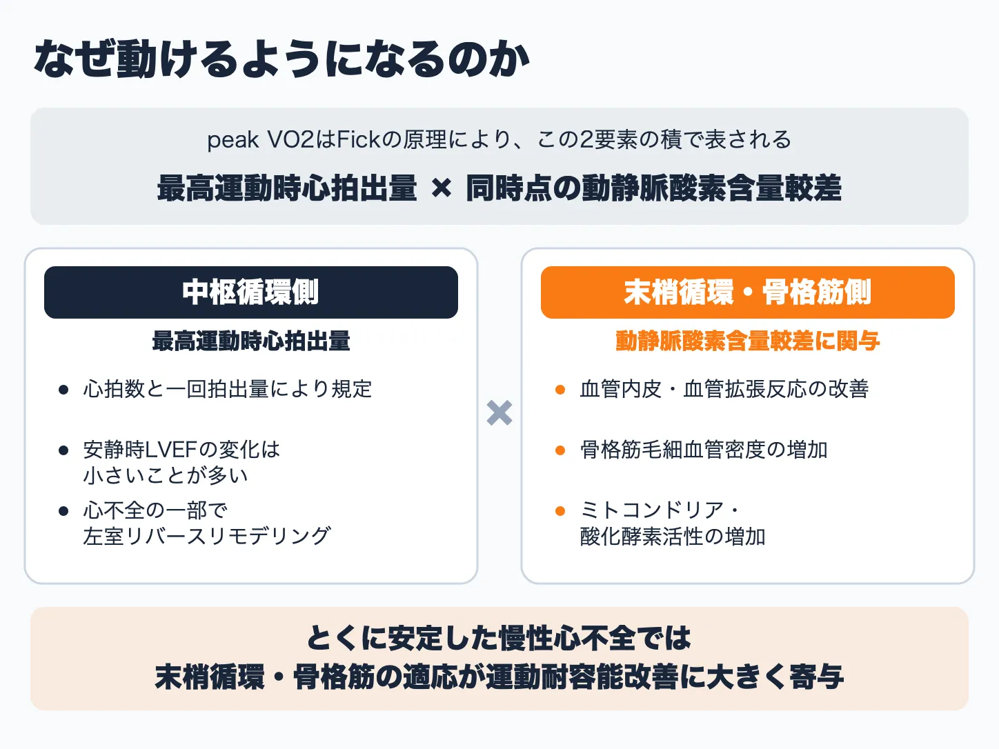 peak VO2をFickの原理で中枢循環側と末梢循環・骨格筋側に分け、慢性心不全で報告される適応を整理した図
